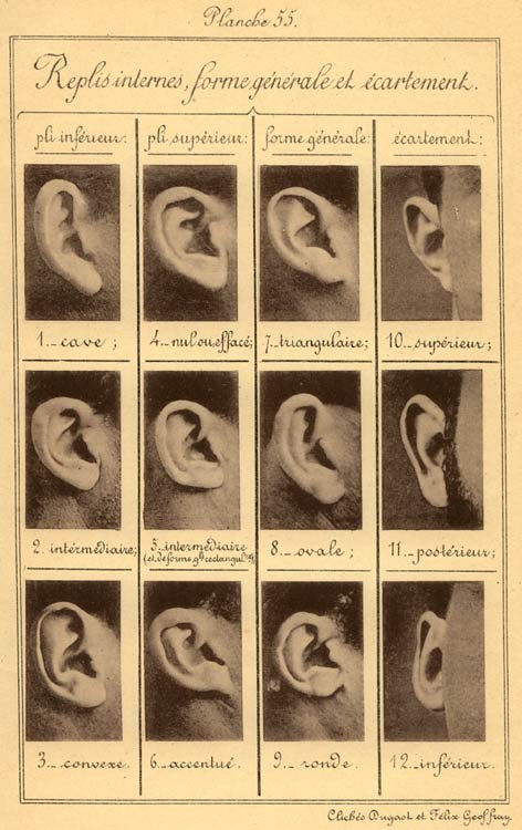 oreilles.jpg